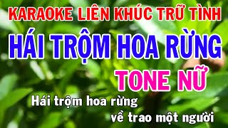 Karaoke Liên Khúc Trữ Tình l Tone Nữ Nhạc Sống l Hái Trộm Hoa Rừng l Phối Mới Dễ Hát l Nhật Nguyễn