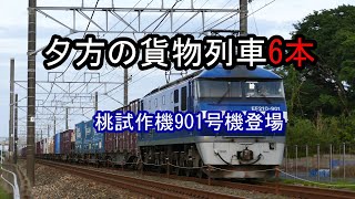 JR貨物 2023/05/12 夕方の貨物列車6本 1093レにEF210-901号機 東海道本線