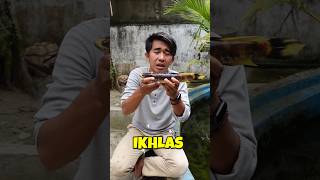 HARUS IKHLAS! KALI INI IKAN GABUS EMAS AKU TEMUI MATI