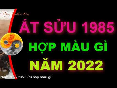 1985 Hợp Màu Gì - Tuổi Ất Sửu 1985 hợp màu gì năm 2022 để mang lại Tài Lộc
