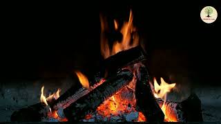 Relaxing Fireplace Sounds - Fireplace Crackling Fire Sounds No Music