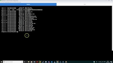 Export WordPress MySQL Database using WP CLI wp db export command