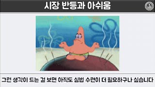 [수익률 -2.5%] SCHD &amp; BTC 4월 투자 보고서 &quot;부의 재분배 편승&quot;