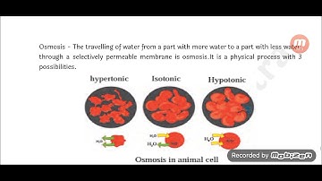 Bridge Course for std 9th, sub.-Science and technology