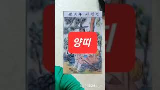 양띠 오늘의운세 2024년7월23일 화요일 운세 총운 #운세 #오늘의운세 #부적