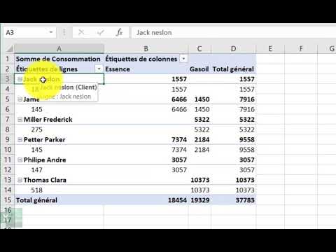 Maîtriser Les tableaux croisés dynamiques en 10 min sur Excel