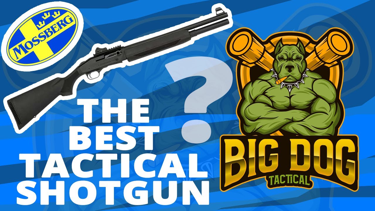Mossberg 930 Tactical on Big Dog Tactical : The Big Gun Collection ; Ya Feel Me Edition 