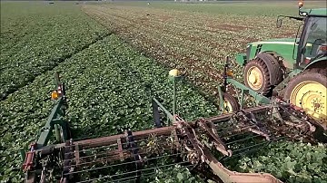 Vogel Engineering Cucumber Harvester with Reichhardt Auto-Steer (John Deere RTK)