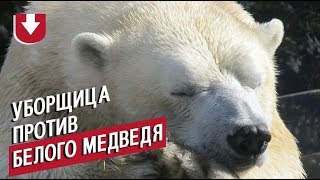 Уборщица против белого медведя. Необычная «дуэль» из Московского зоопарка попала на видео Уборщица против белого медведя. Необычная «дуэль» из Московского зоопарка попала на видео