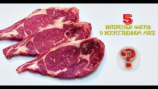 5 ИНТЕРЕСНЫХ ФАКТОВ О ИСКУССТВЕННОМ МЯСЕ