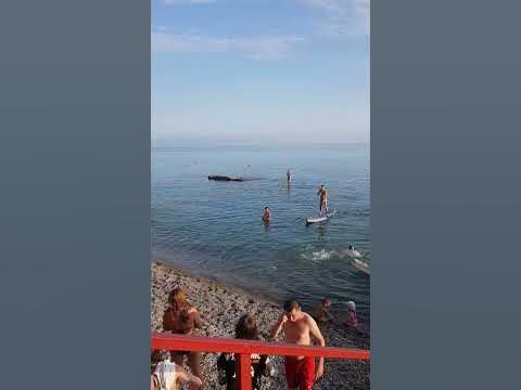 ГОЛУБАЯ ДАЧА / СОВЕТ-КВАДЖЕ #советквадже #сочи # море - YouTube