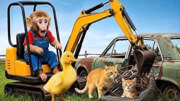 Monkey Farmer And Duckling Uses Excavator To Rescue Cat From Abandoned Car - Monkey Farm Work
