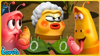 LARVA FAMILY BEE, PINK AND YELLOW | FUNNY CLIP 20245 🍕 60min | Cartoon Comedy video by LARVA