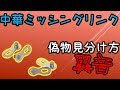 【中華】偽物ミッシングリンクの見分け方【異音】