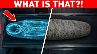 This Mummy Scan Is CAUSING CHAOS Among Experts — It Matches Nothing on Earth