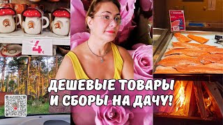 Низкие цены.Дешевые товары в магазинах Таллинна.Я под впечатлением Дня Рождения.Уехали на дачу.Влог
