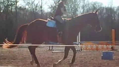Jumping Diamond!!