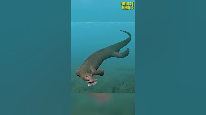 Animais pré históricos que mudaram de visual part. 7🦖😯 #shorts #curiosidades #short #shortvideo