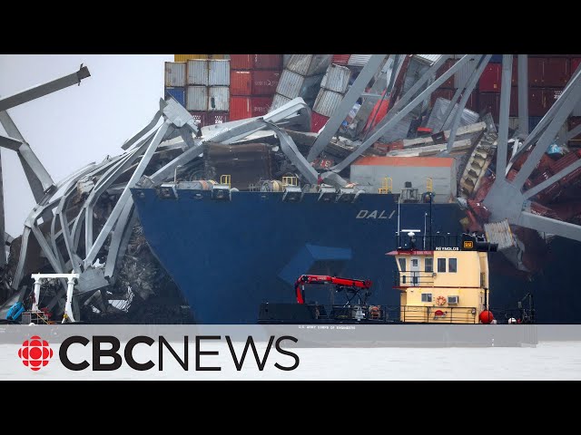 Freighter pilot radioed for help before ship hit Baltimore bridge