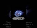 Operant Conditioning with real life example #Psychology #OperantConditioning #mindfacts #brainfacts