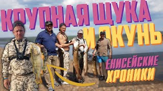 Енисейские хроники - крупный ОКУНЬ, много ЩУКИ и рыбацкие РЕЦЕПТЫ! Енисейские хроники - крупный ОКУНЬ, много ЩУКИ и рыбацкие РЕЦЕПТЫ!