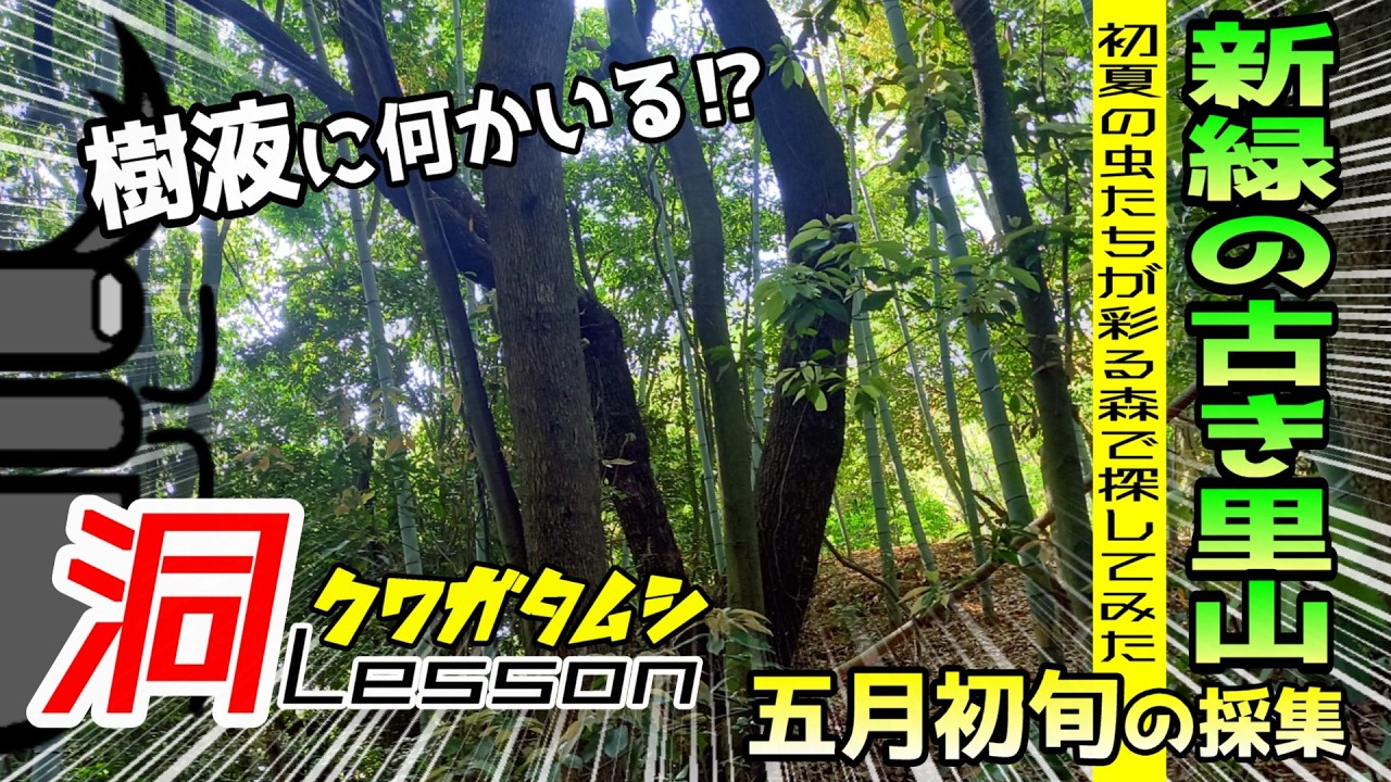 くわがた散歩道商店