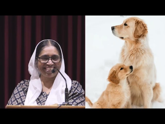 For Children : God Works All Things For Our Good | Mable