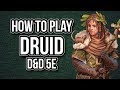 HOW TO PLAY DRUID