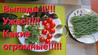 :   !!!!!,,  26.04.25.!!!!! !!!!!