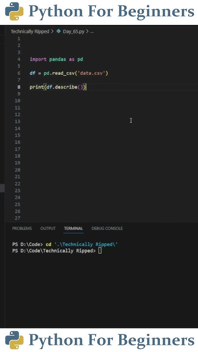 How To Use The Describe Function In Pandas | Python For Beginners - YouTube