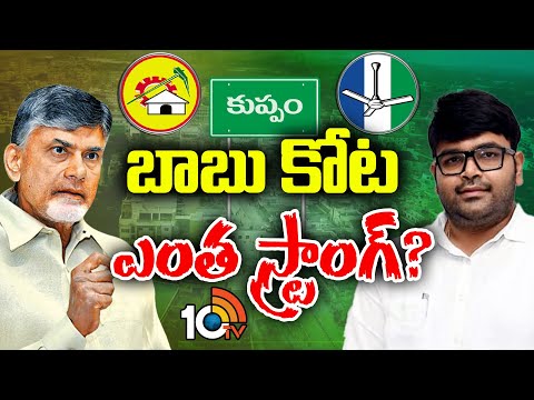 Kuppam Race Gurralu | ఏపీ రాష్ట్ర వ్యాప్తంగా కుప్పంపైనే అందరి దృష్టి | AP Politics | 10tv - 10TVNEWSTELUGU