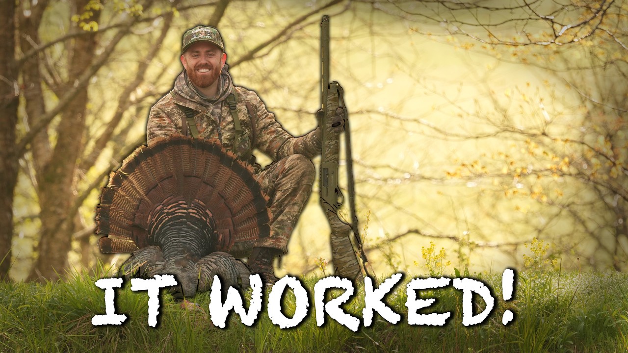 Opening Week Turkey Hunting New York: It Worked!