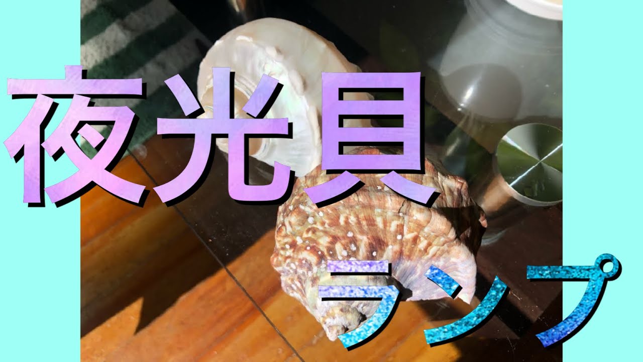 夏の海に ヤコウガイランプ 夜光貝サンポール Youtube