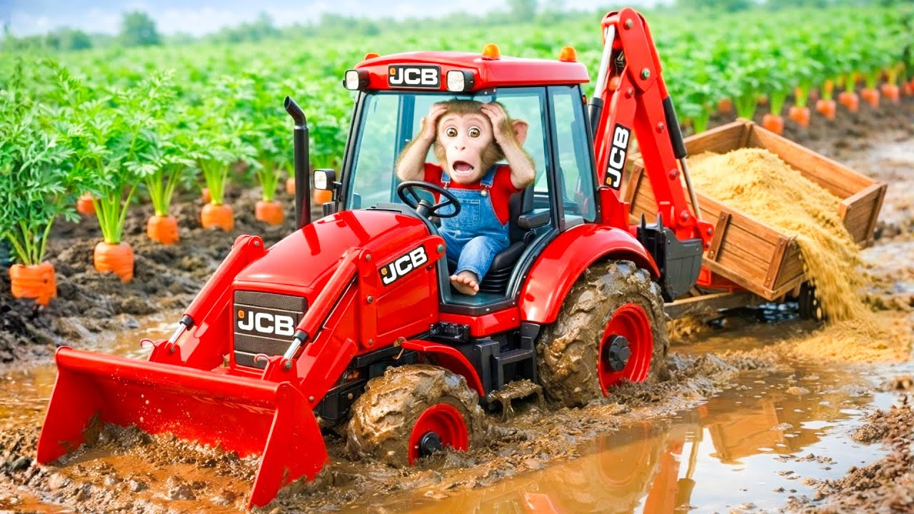 Monkey Farmer Drives the JCB Tractor Excavator Harvest Corn & Repair The Muddy Road | Monkey Farm