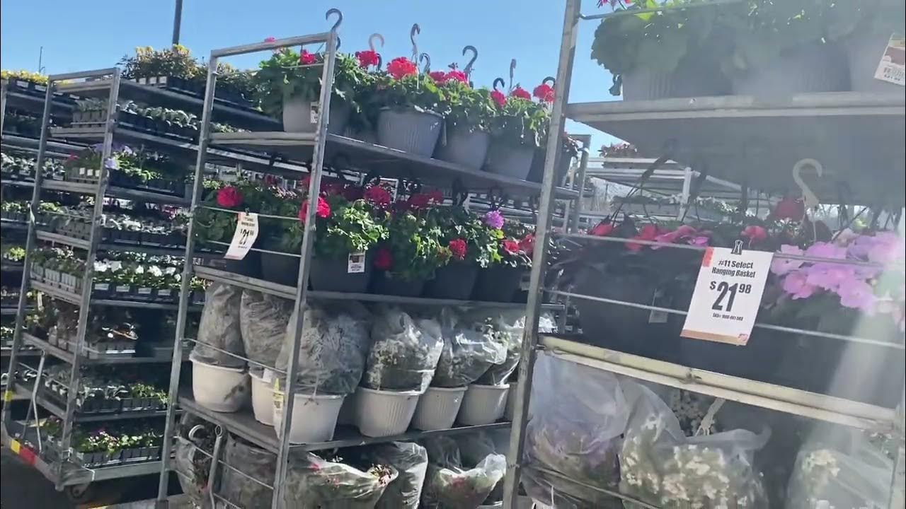 2nd Trip to Home Depot in the Week Gardening Projects & Mothers' Day ...