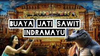 Geger hanyutna anak buaya kali Cimanuk , sandiwara Chandra Sari