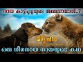 A Dog's Way Home 2019 Movie Explained In Malayalam | Hollywood Movie Malayalam Explanation