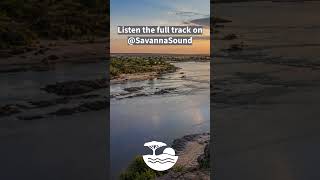 Savanna Sound - African Ambient for Deep Work &amp; Focus