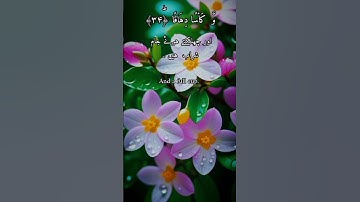 Islam surah Al naba سورة النبأ islamic world,islamic,world, ISLAM WOULD