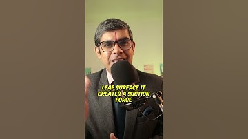 Define transpiration - What is Transpiration in plants? #icse #gcse #cbse #igcse #shikshamarg108