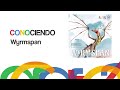 Conociendo Wyrmspan