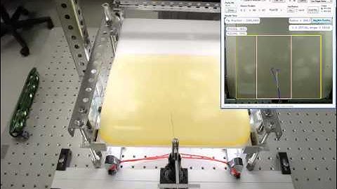 Insertion planning for steerable flexible needles reaching multiple planar targets