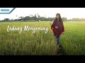 Ladang menguning  pkj  herlin pirena   