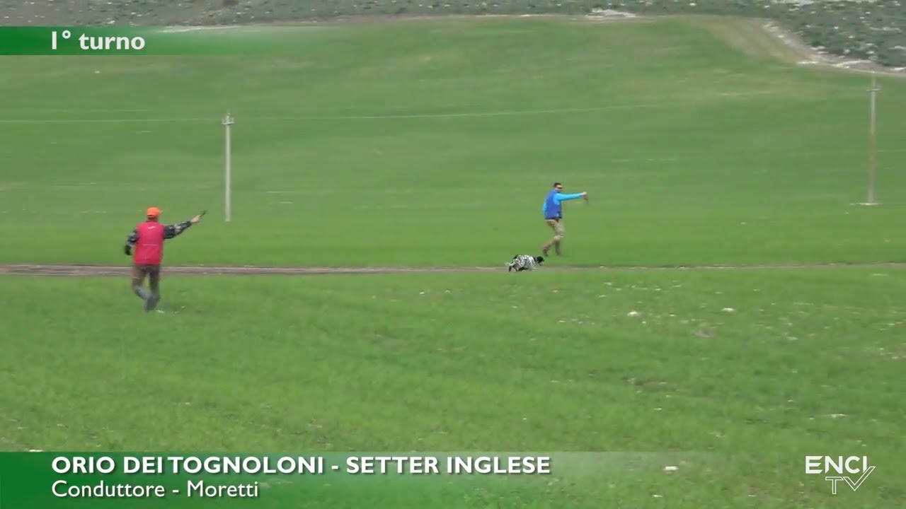 ALTAMURA PRIMAVERA 2022 GRANDE CERCA MISTA 04 MARZO