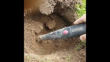 Nokta macro simplex and dr otek pinpointer test