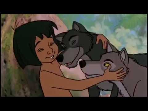 The jungle Book เมาคลีลูกหมาป่า1967 พากย์ไทย