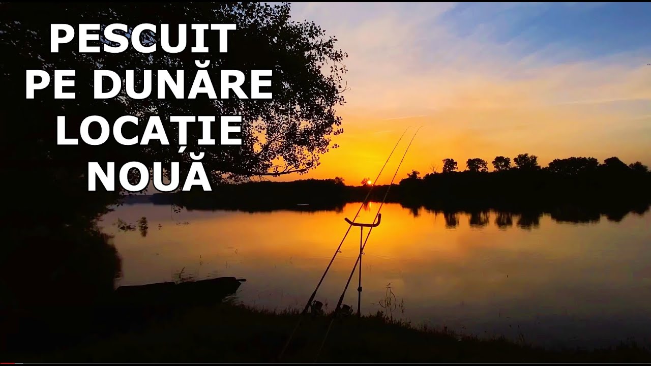 CRAPI SALBATICI LA MAL Pe Dunare LOCAȚIE NOUĂ - Pescuit cu Method Feeder la CARAS, Morunas, Platica