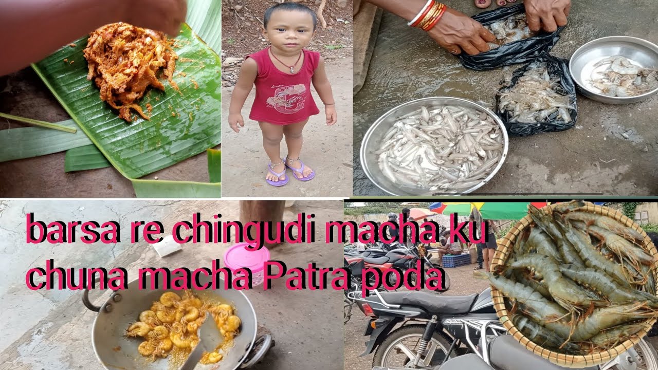 ବର୍ଷା ରେ ଚିଙ୍ଗୁଡ଼ି ମାଛ କୁ ଚୁନା ମାଛ ପତ୍ର ପୋଡ଼ା || barsare chigudi macha ...