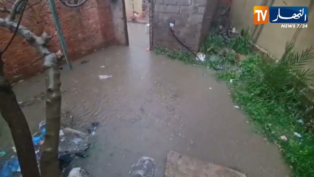 شاهد.. أمطار غزيرة وسيول ببلدية خير الدين في مستغانم