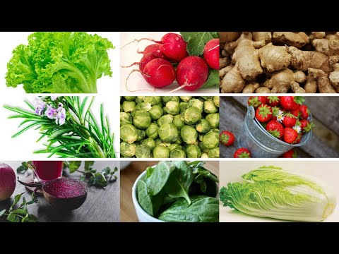 Vídeo: Quais Vegetais Podem Ser Cultivados à Sombra?